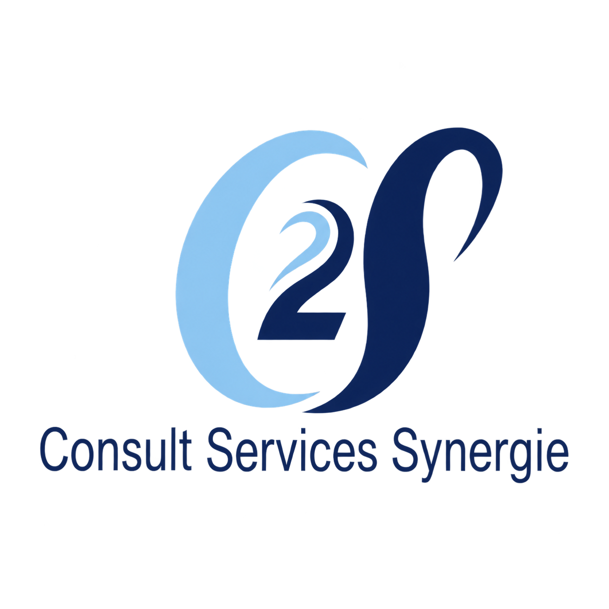 Consult Services Synergie